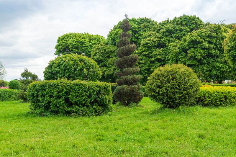 Shrubs with Precise Trimming
